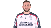 Handball-Bundesliga Sg Sticker by LIQUI MOLY HBL