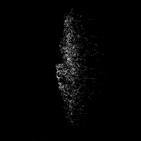 Black And White Leaf GIF by A. L. Crego