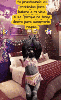 Feliz No Tengo GIF by Murcianys LLC