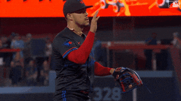 Celebrate Lets Go GIF by Toronto Blue Jays