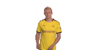 Happy Come On Sticker by Bundesliga