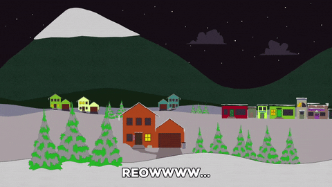 house kitty GIF by South Park 