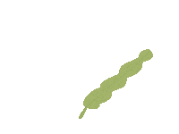 Plant Sticker