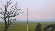 Ocean Massachusetts GIF by Chris