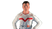 Vogels8 Kipgoal Sticker by Valleivogels