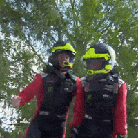 Team Victory GIF by FIA World Rally Championship