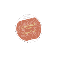 Cheek メイク Sticker by CANMAKE TOKYO