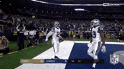 2018 Nfl Football GIF by NFL