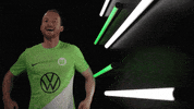 Germany Yes GIF by Bundesliga