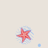 Good Morning Summer GIF