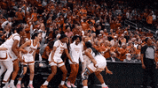 Hookem GIF by Texas Longhorns