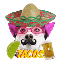 Party Dog Sticker by SWAGGY WOLFDOG