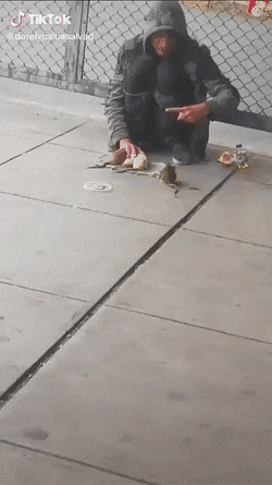 giffunme giphyupload GIF