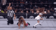 ÄEw Wrestlingmatch GIF by All Elite Wrestling on TNT