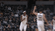 High Five Indiana Pacers GIF by NBA