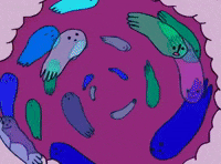 sub pop animation GIF by Chad VanGaalen