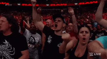 wrestling boo GIF by WWE