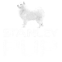 Cup Stanley Sticker