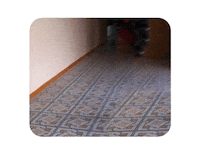 setters_agency setters settersme setters agency setters team Sticker