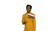 Song Contest Flag Sticker by AVROTROS