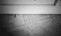 Grey Scale GIF by DUCKWRTH