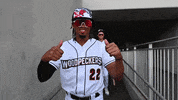 Sport Thumbs Down GIF by Fayetteville Woodpeckers