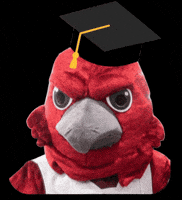 Commencement Hacc GIF by HACC, Central Pennsylvania's Community College