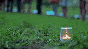 Sgdf Scoutisme GIF by Scouts et Guides de France