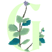 St Louis G Sticker by Grown Creative Agency