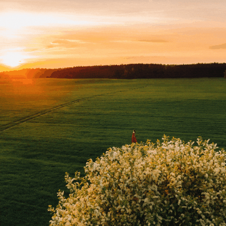 kirk-shaw giphygifmaker giphyattribution kirk shaw GIF