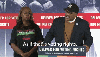 As If That Is Voting Rights