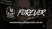 fan history GIF by CollingwoodFC