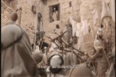 sarahmcnitt giphygifmaker GIF