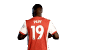 Celebrate Ivory Coast Sticker by Arsenal