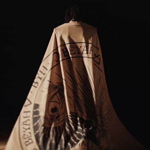 Cape Dems GIF
