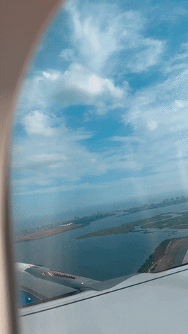 Dog Flying GIF