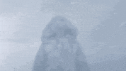 snow winter GIF by Rocket Beans TV