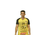 Sport Handball Sticker by Hazebrouckhandball