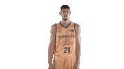 Vamos Liga Endesa Sticker by ACB