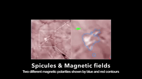 tulsimo giphygifmaker GIF