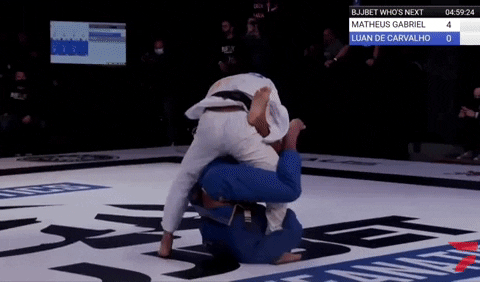 TFSMatt giphyupload GIF