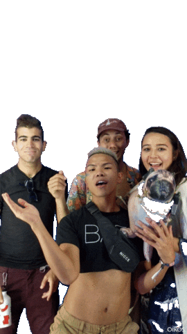 Oikosernie Chow Oikoskvvvfa Sticker by Oikos Canada