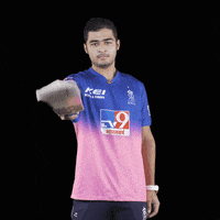 Rajasthan Royals Lol GIF by Red Bull