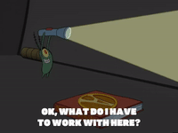 season 5 GIF by SpongeBob SquarePants