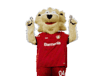 Swipe Up Bayer 04 Sticker by Bayer 04 Leverkusen