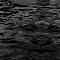 Sinking All Aboard GIF by TeaCosyFolk