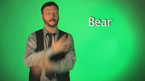 sign language bear GIF by Sign with Robert