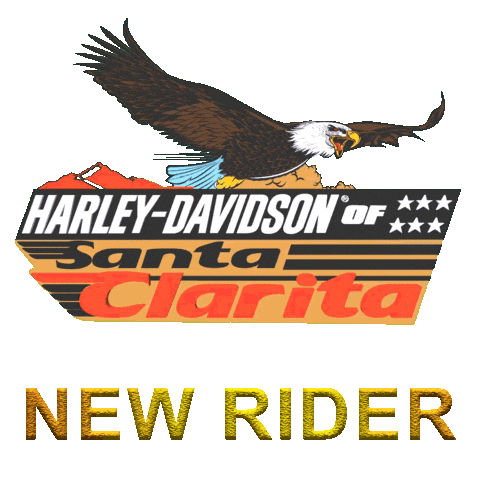 Harley Davidson Motorcycle Sticker by GlendaleHarley