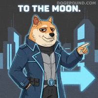 Lets Go Crypto GIF by Doge Pound