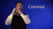 Sign Language Asl GIF by Sign with Robert